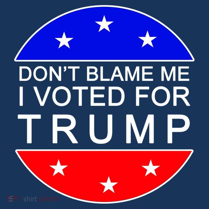 Don't Blame Me I Voted For Trump Pro Republican Tall T-Shirt