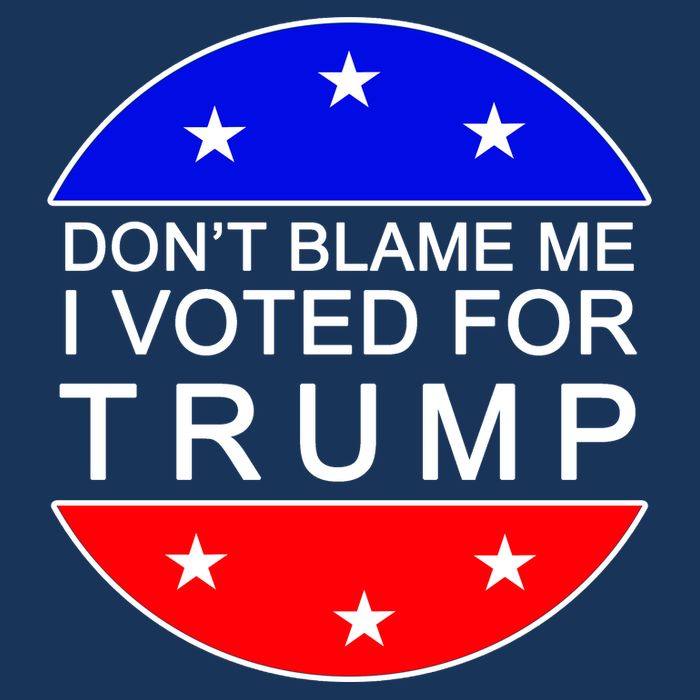 Don't Blame Me I Voted For Trump Pro Republican Visor