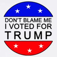Don't Blame Me I Voted For Trump Pro Republican Garment-Dyed Sweatshirt