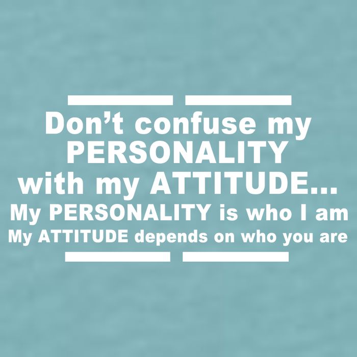 Don't Confuse My Personality With My Attitude Sueded Cloud Jersey T-Shirt