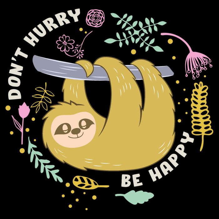Don't Hurry Be Happy Funny Sloth Poster