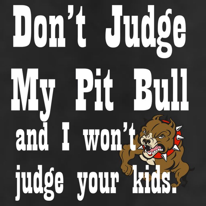 Don't Judge My Pit Bull 7 Panel Mesh Trucker Snapback Hat