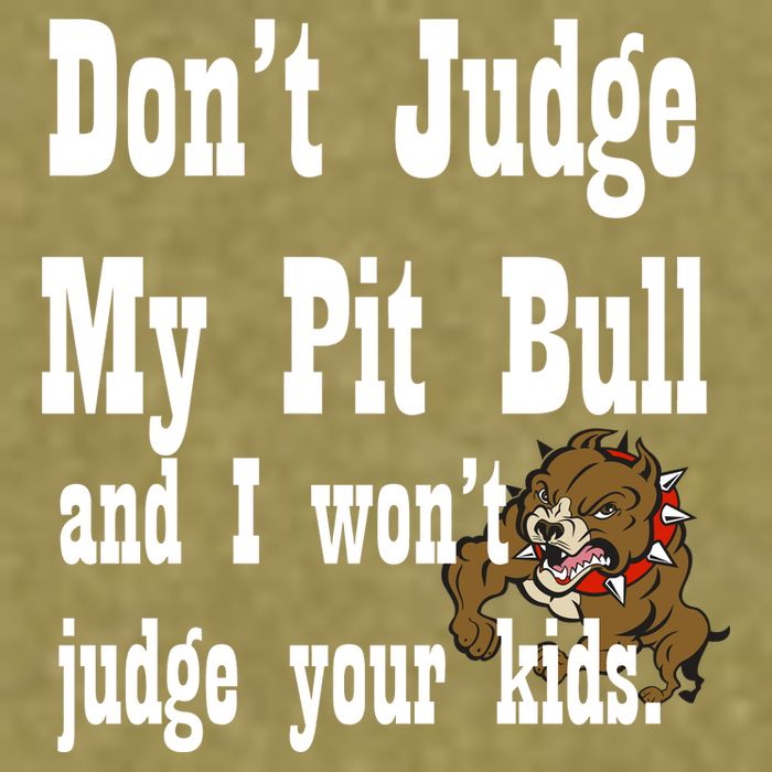 Don't Judge My Pit Bull Garment-Dyed Women's Muscle Tee