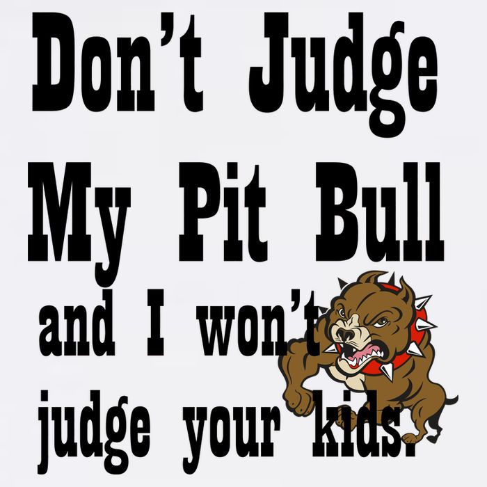 Don't Judge My Pit Bull Garment-Dyed Sweatshirt