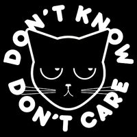 Don't Know Don't Care Funny Cat Hoodie