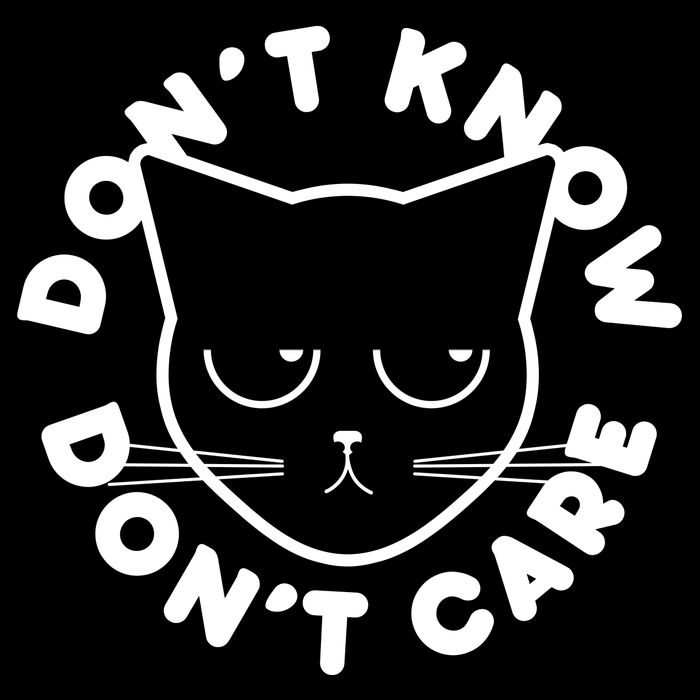 Don't Know Don't Care Funny Cat Hoodie