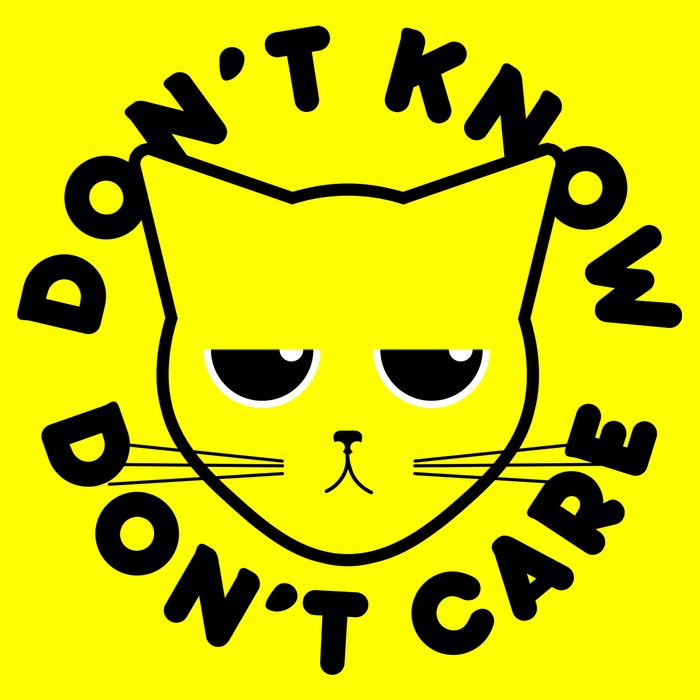 Don't Know Don't Care Funny Cat Button
