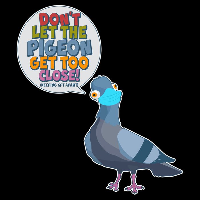 Don't Let the Pigeon Get Too Close Social Distancing Sustainable Beanie