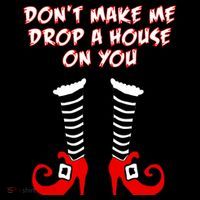 Don't Make Me Drop A House On You T-Shirt