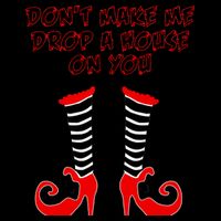Don't Make Me Drop A House On You Mug