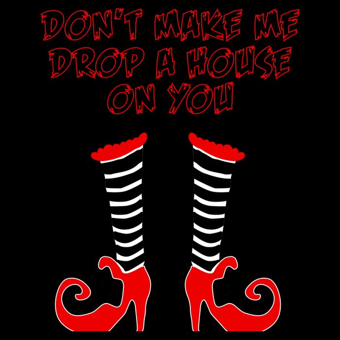 Don't Make Me Drop A House On You Mug