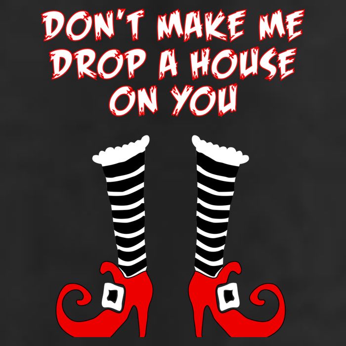 Don't Make Me Drop A House On You Beanie