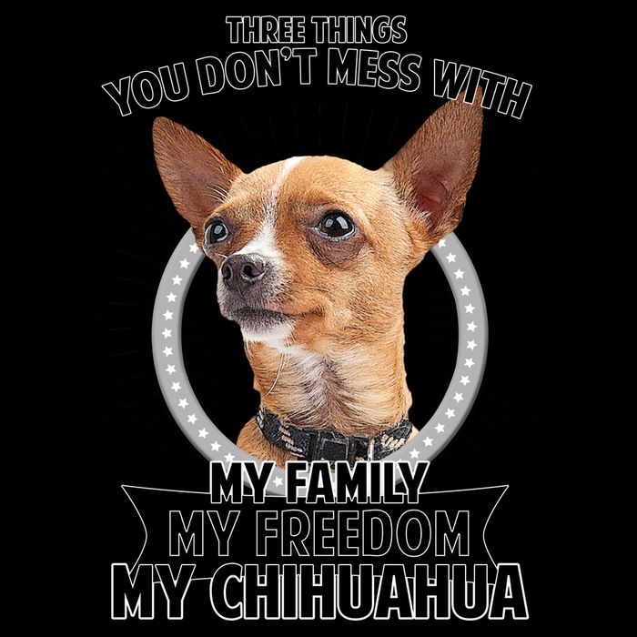 Don't Mess With My Chihuahua 16oz Travel Tumbler