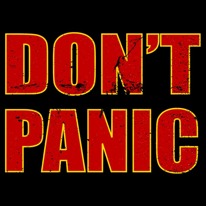 Don't Panic Vintage Distressed Panicking Wool Snapback Cap