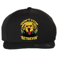 Don't Stop Retrievin' Wool Snapback Cap