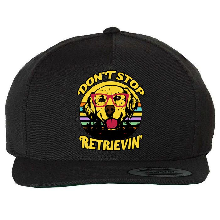 Don't Stop Retrievin' Wool Snapback Cap