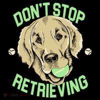 Don't Stop Retrieving Funny Golden Retriever Visor