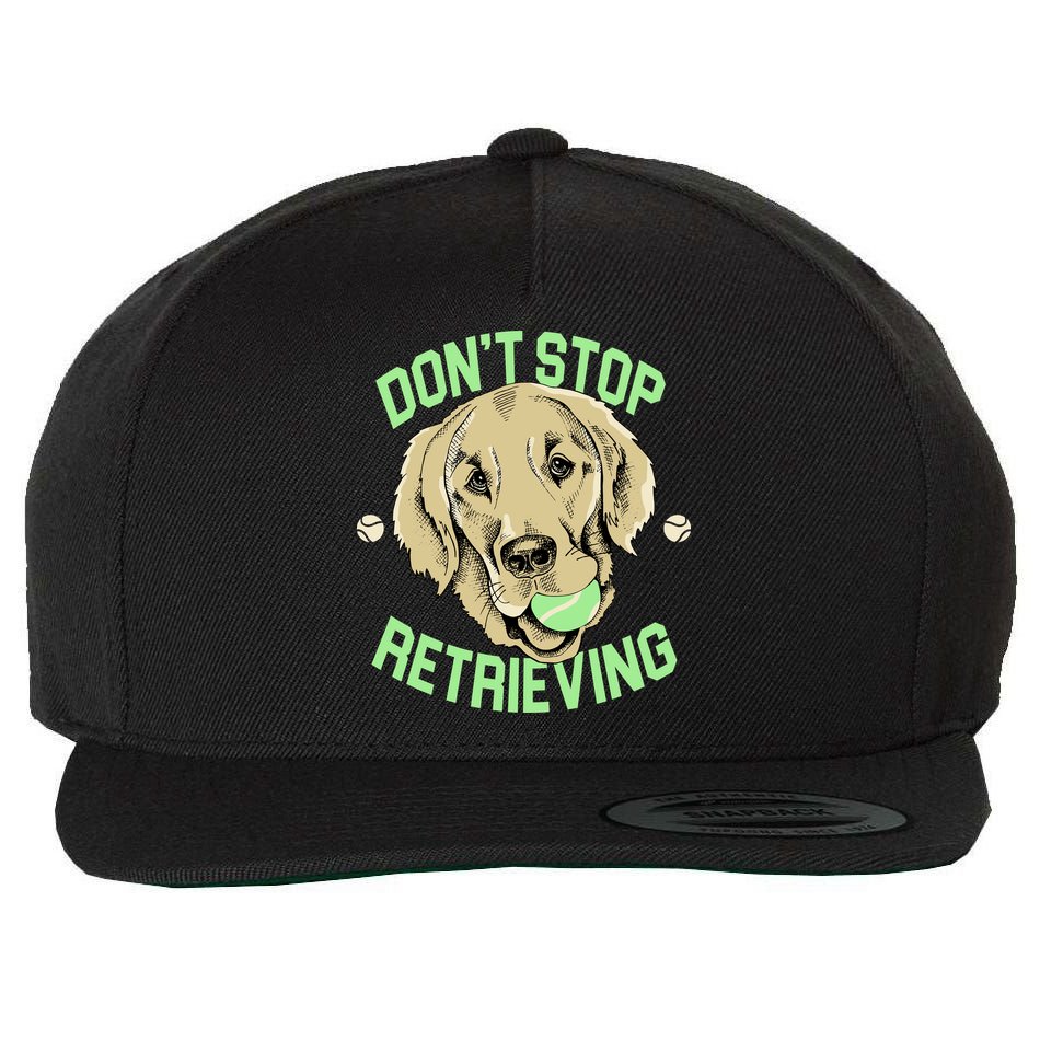 Don't Stop Retrieving Funny Golden Retriever Wool Snapback Cap