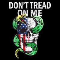 Don't Tread On Me American Snake Skull Visor