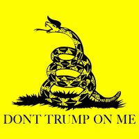 Don't Trump On Me Button