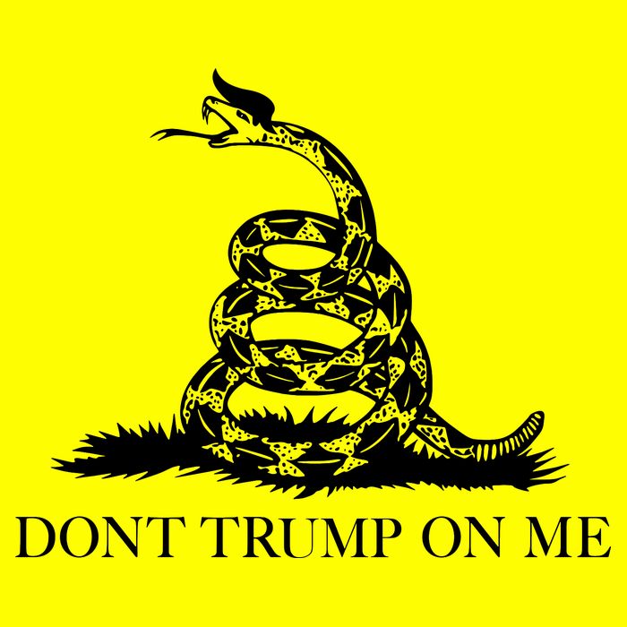 Don't Trump On Me Button