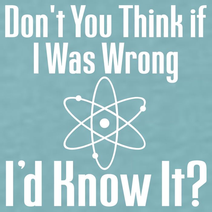 Don't You Think That If I Was Wrong I'd Know It? Sueded Cloud Jersey T-Shirt