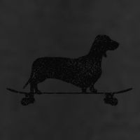 Dachshund On Skateboard Funny Wiener Dog Doxie Skater Gift 7 Panel Mesh Trucker Snapback Hat