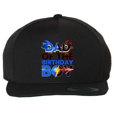 Dad Of The Birthday Boy Hedgehog Family Party Decorations Wool Snapback Cap