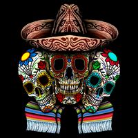 Day Of The Dead Tri Sugar Skulls 16 in Basic Backpack