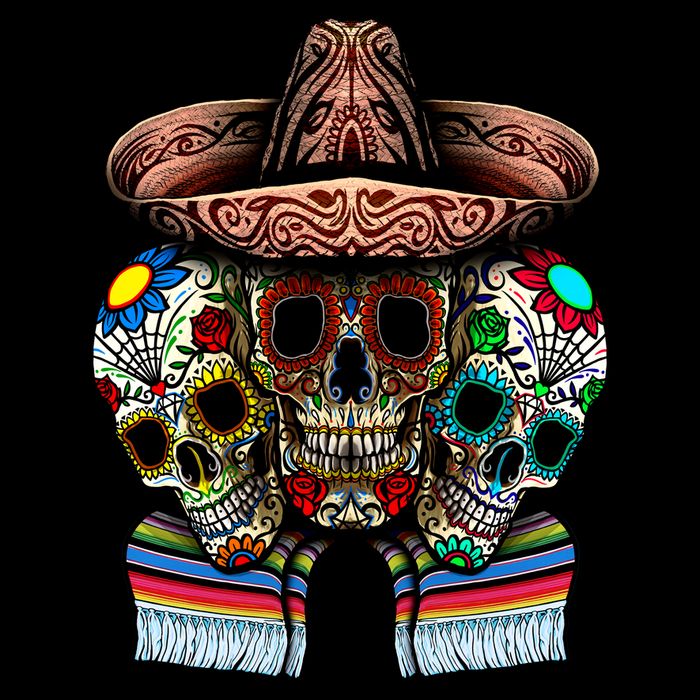 Day Of The Dead Tri Sugar Skulls 16 in Basic Backpack