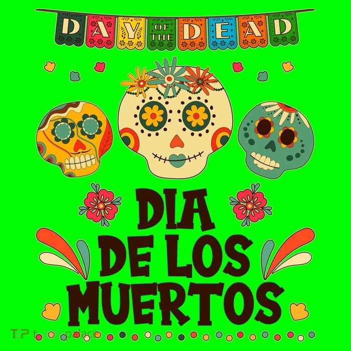 Day Of The Dead Dia De Los Muertos Sugar Skulls Poster
