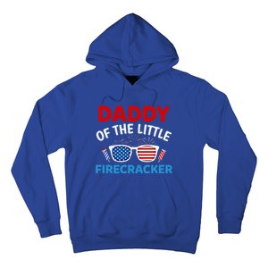 Daddy Of The Little Firecracker 4th Of July Birthday Funny Gift Cute Gift Hoodie