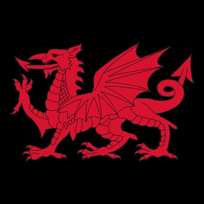Dragon Of Wales Flag Cool Welsh Cymru Flags Stripe Pom Pom Beanie
