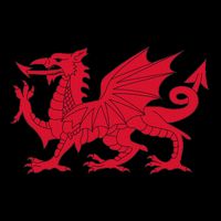 Dragon Of Wales Flag Cool Welsh Cymru Flags Sustainable Bucket Hat