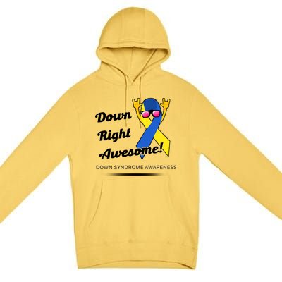 Down Right Awesome Down Syndrome Premium Pullover Hoodie