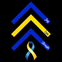 Down Syndrome Awareness Joy Love Strength  Performance Shirt