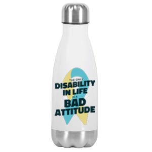 Down Syndrome Bad Attitude Stainless Steel Insulated Water Bottle