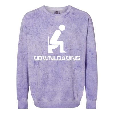 Downloading Poop Toilet Colorblast Crewneck Sweatshirt