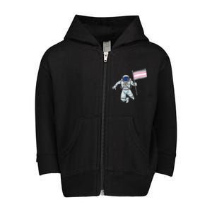 Demigirl Pride Astronaut Flag Toddler Zip Fleece Hoodie