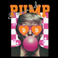 Donald Pump Bitcoin Funny Trump Pin.K Gum 2024 Crypto Short Acrylic Beanie