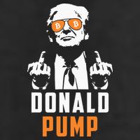 Donald Pump Bitcoin Funny Trump 2024 Crypto American Flag Adult Drive Performance Visor