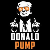 Donald Pump Bitcoin Funny Trump 2024 Crypto American Flag Wool Snapback Cap