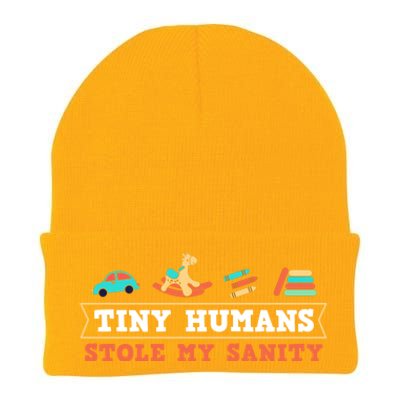 Daycare Provider Care Tiny Hu Stole My Sanity Funny Gift Knit Cap Winter Beanie