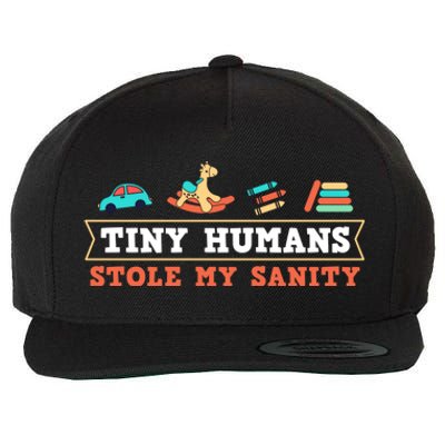 Daycare Provider Care Tiny Hu Stole My Sanity Funny Gift Wool Snapback Cap