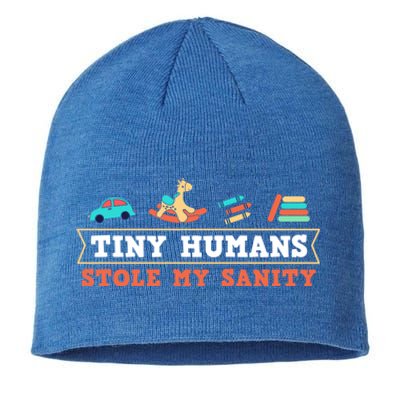 Daycare Provider Care Tiny Hu Stole My Sanity Funny Gift Sustainable Beanie