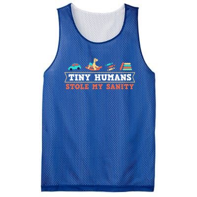 Daycare Provider Care Tiny Hu Stole My Sanity Funny Gift Mesh Reversible Basketball Jersey Tank