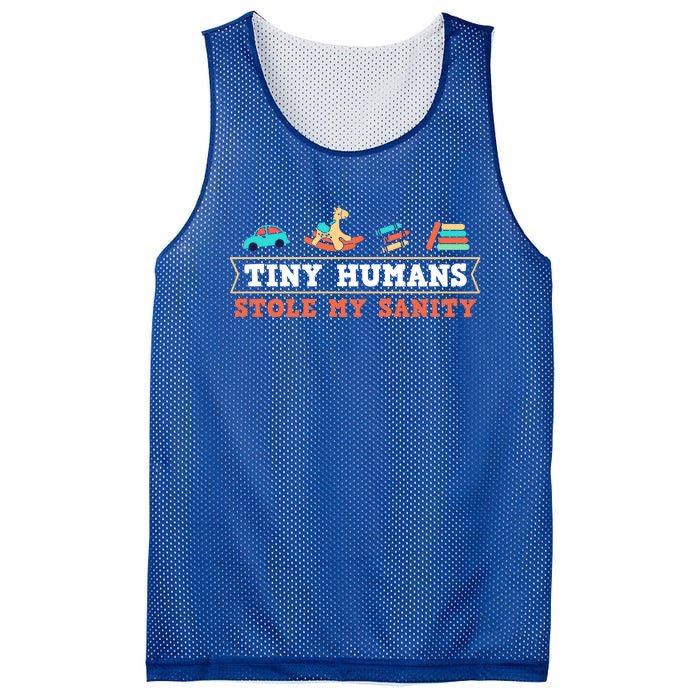 Daycare Provider Care Tiny Hu Stole My Sanity Funny Gift Mesh Reversible Basketball Jersey Tank