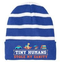 Daycare Provider Care Tiny Hu Stole My Sanity Funny Gift Striped Beanie with Solid Band