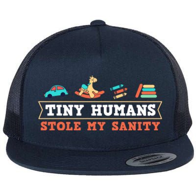 Daycare Provider Care Tiny Hu Stole My Sanity Funny Gift Flat Bill Trucker Hat