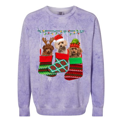 Dog Poodle Christmas Socks Funny Xmas Pajama Pet Puppy Gift Colorblast Crewneck Sweatshirt